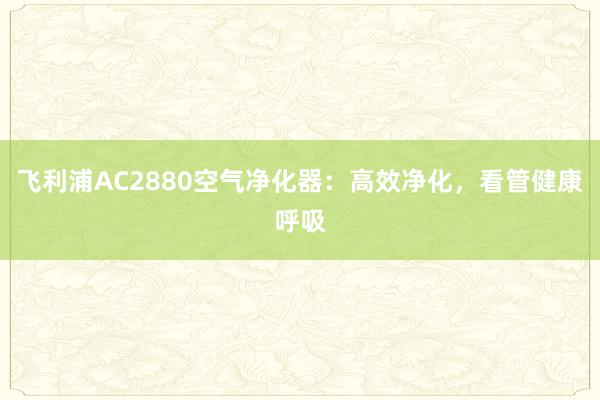 飞利浦AC2880空气净化器：高效净化，看管健康呼吸